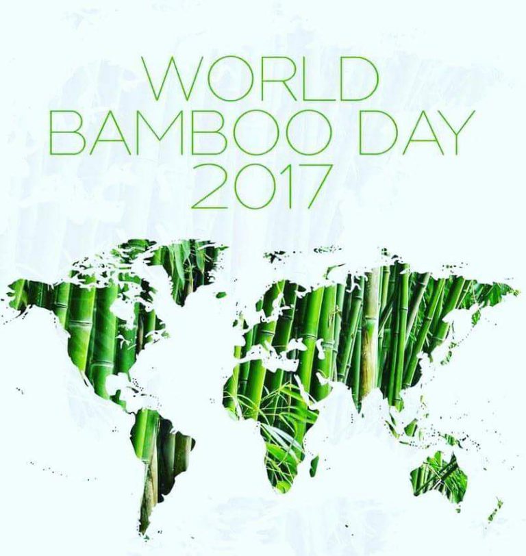 world bamboo day Weston Premium Woods